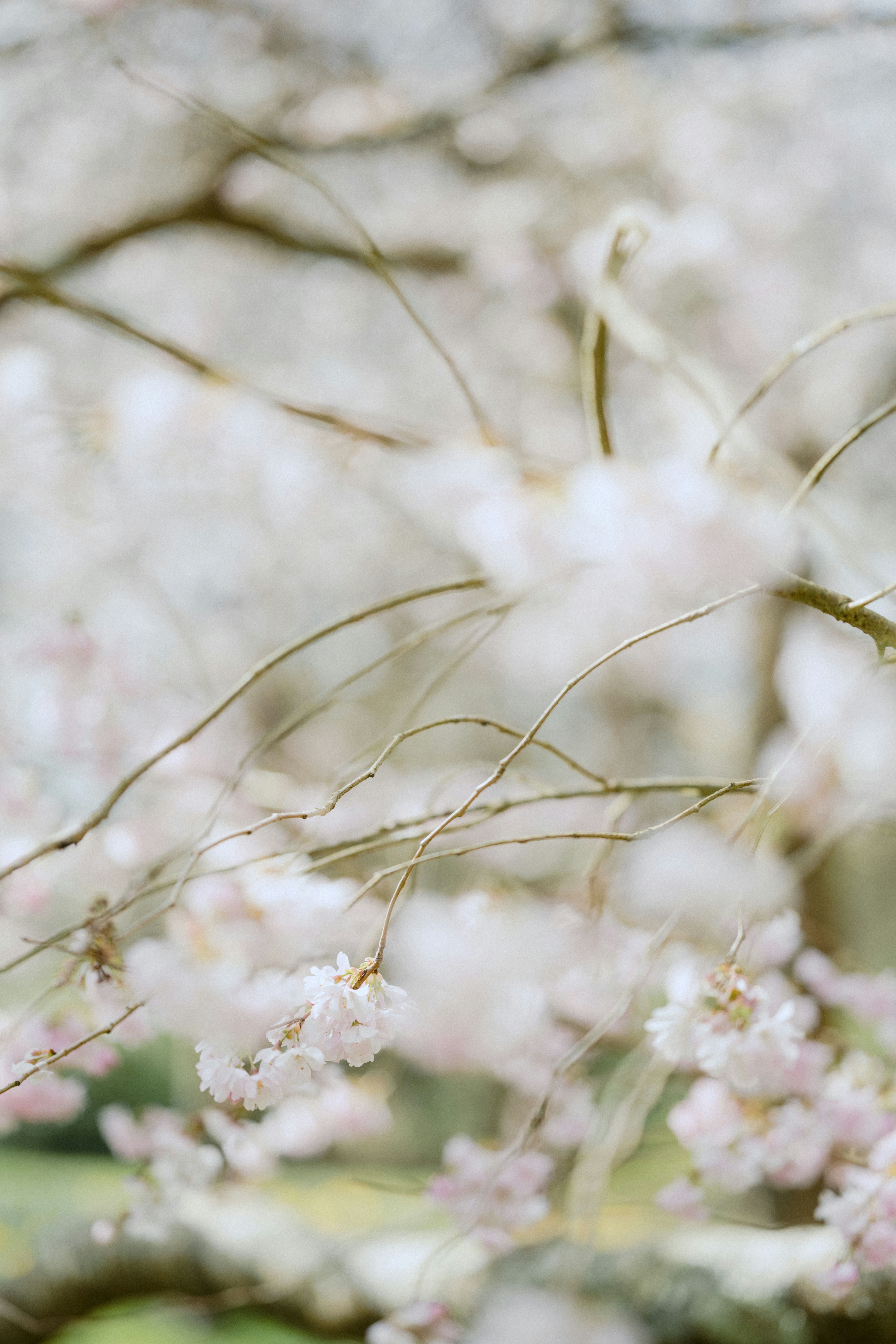 Photo by anniespratt