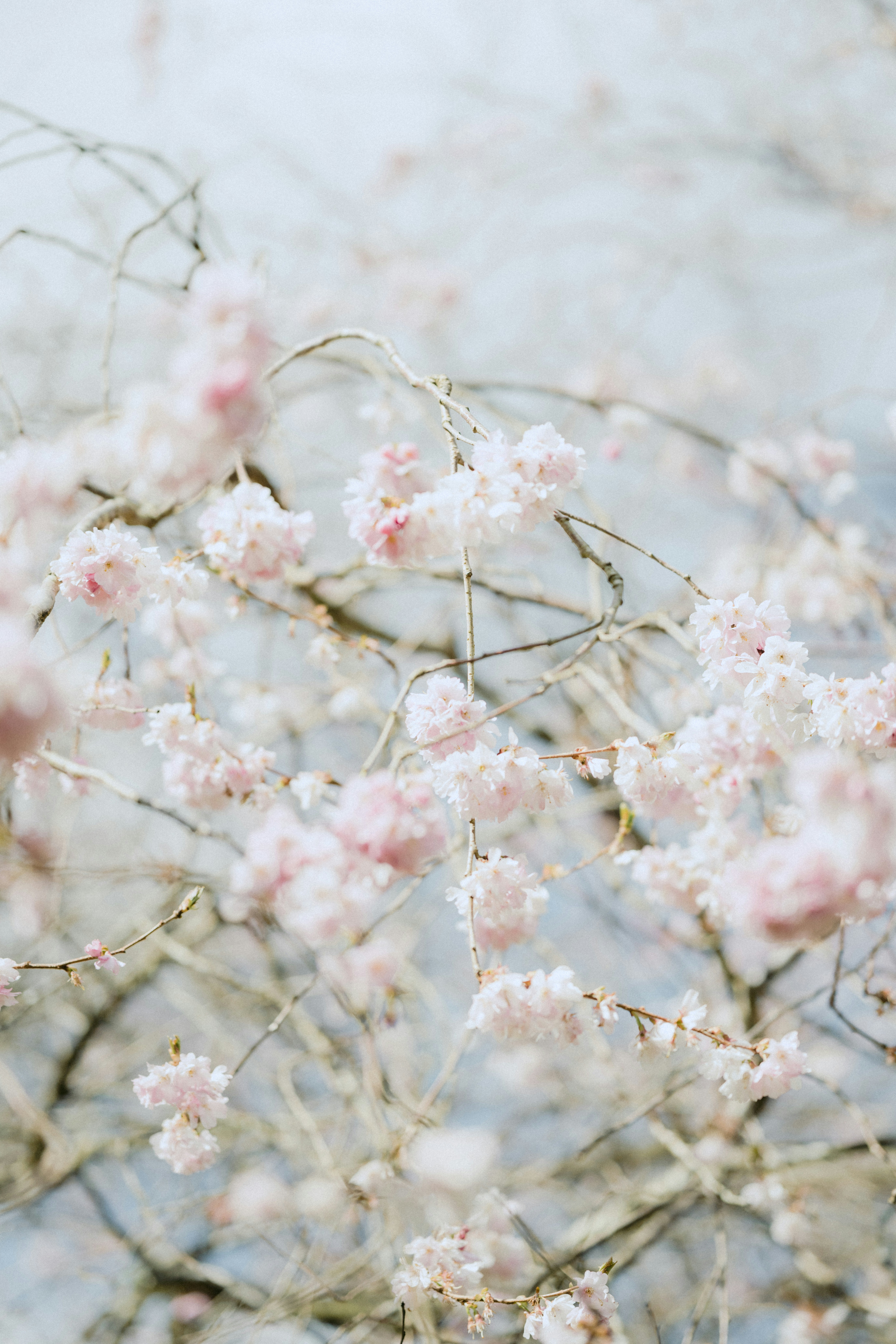 Photo by anniespratt