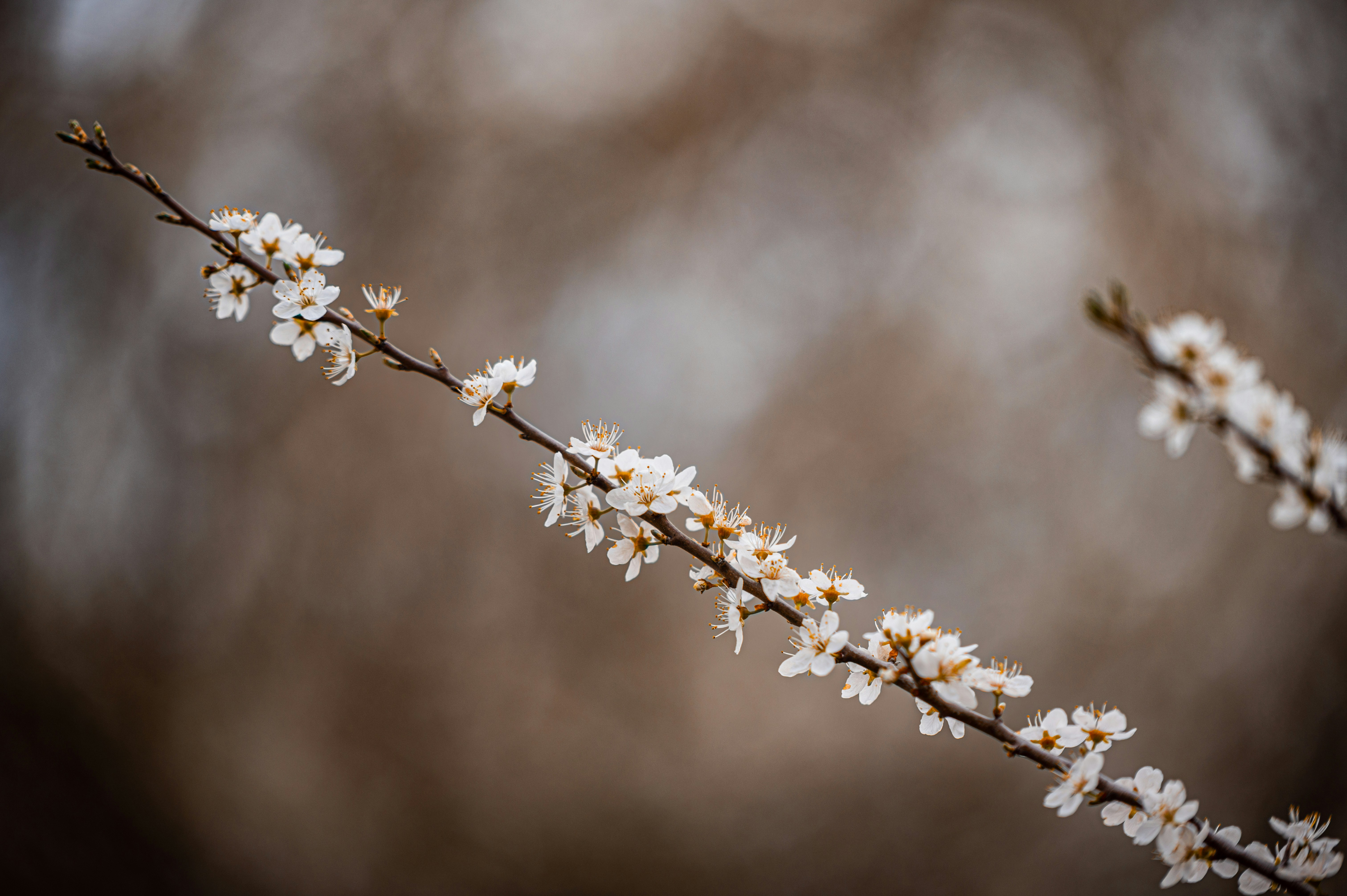 Photo by andreasbrun