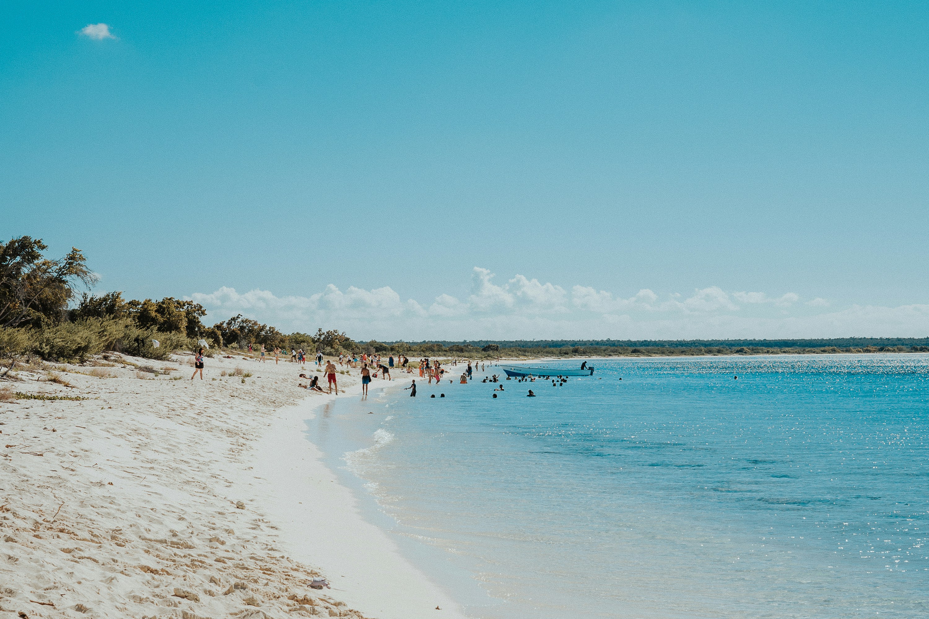 people on beach during daytime
