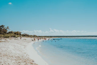 people on beach during daytime