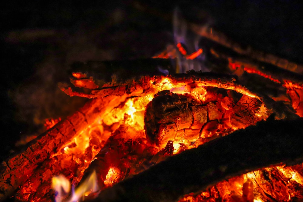 burning wood in close up photography