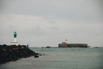 people on beach during daytime