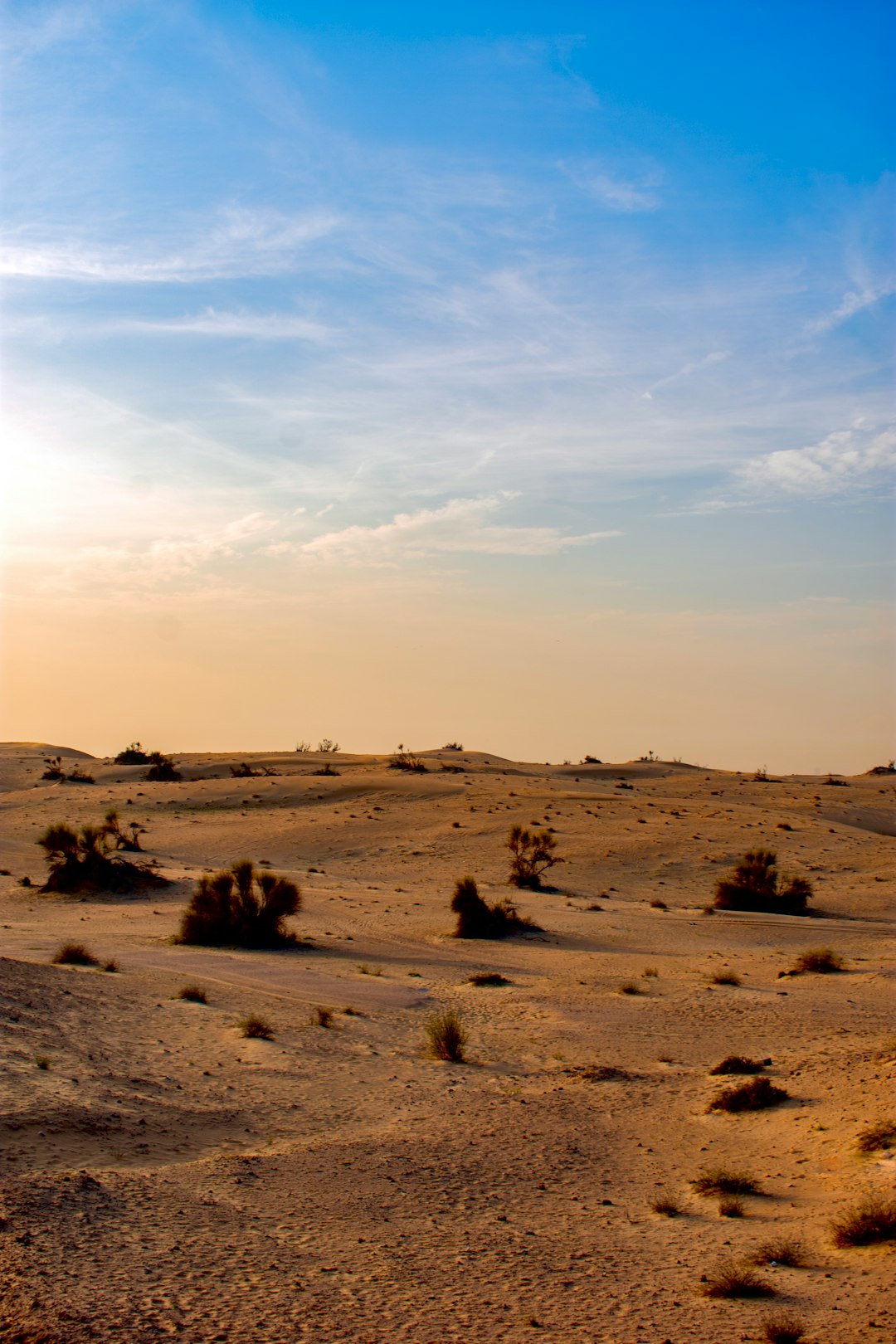 Desert photo spot Desert Safari Dubai - Dubai - United Arab Emirates Al Madam