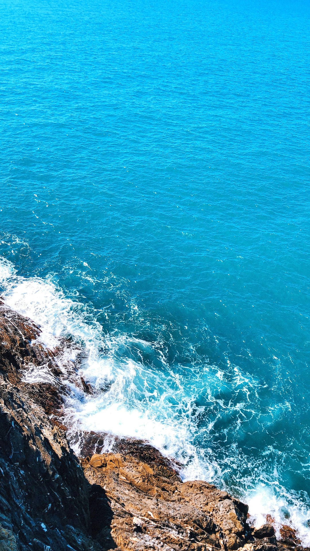 Cliff photo spot Cinque Terre National Park Vernazza