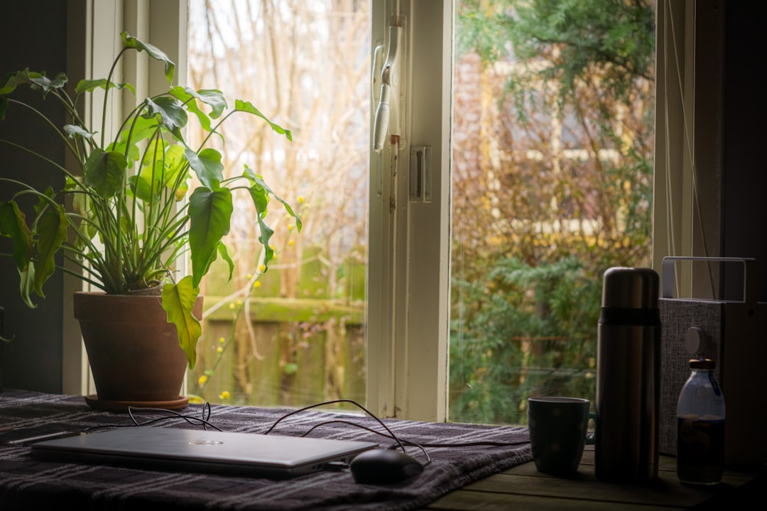 Can I Rent Out my Garden Office in the UK?