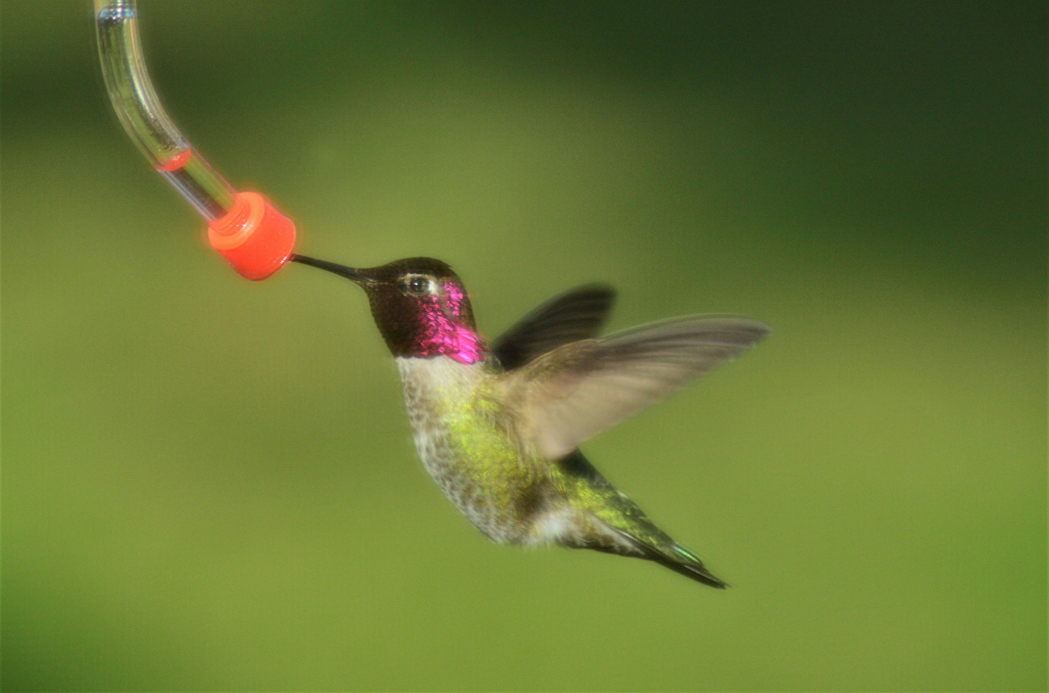 Photo by bryanhanson