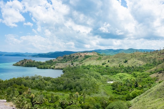 green grass field near lake under white clouds and blue sky during daytime in Flores Indonesia