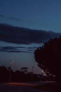 A serene Shimla street at dusk, with gentle lights glowing along the pathway.