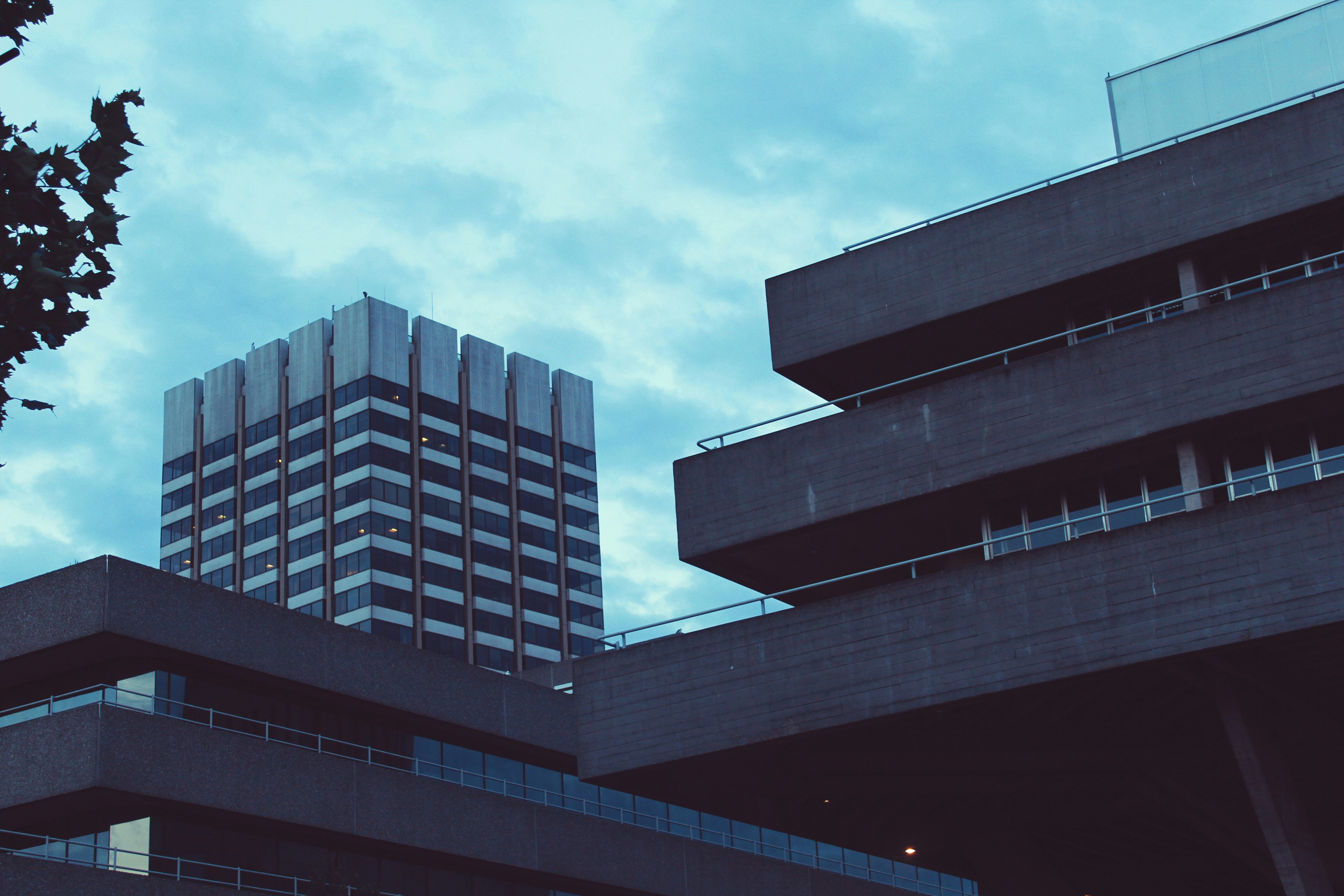 Photo by niteeshyadav