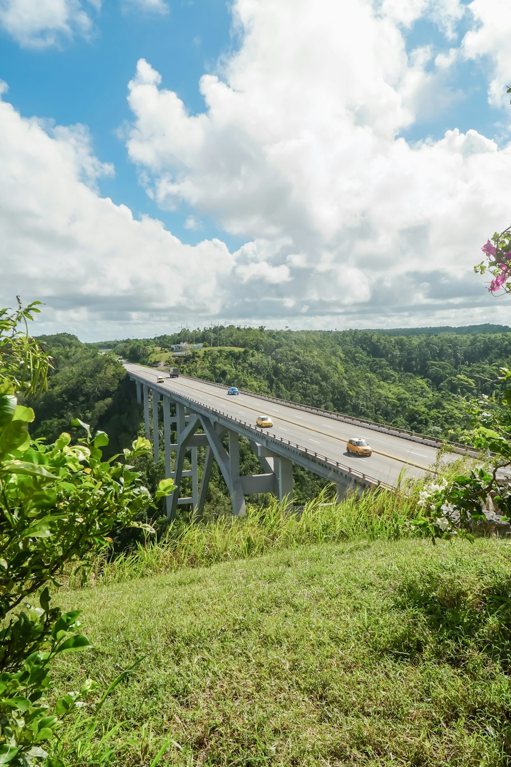 gray wooden bridge over green trees under white clouds during daytime