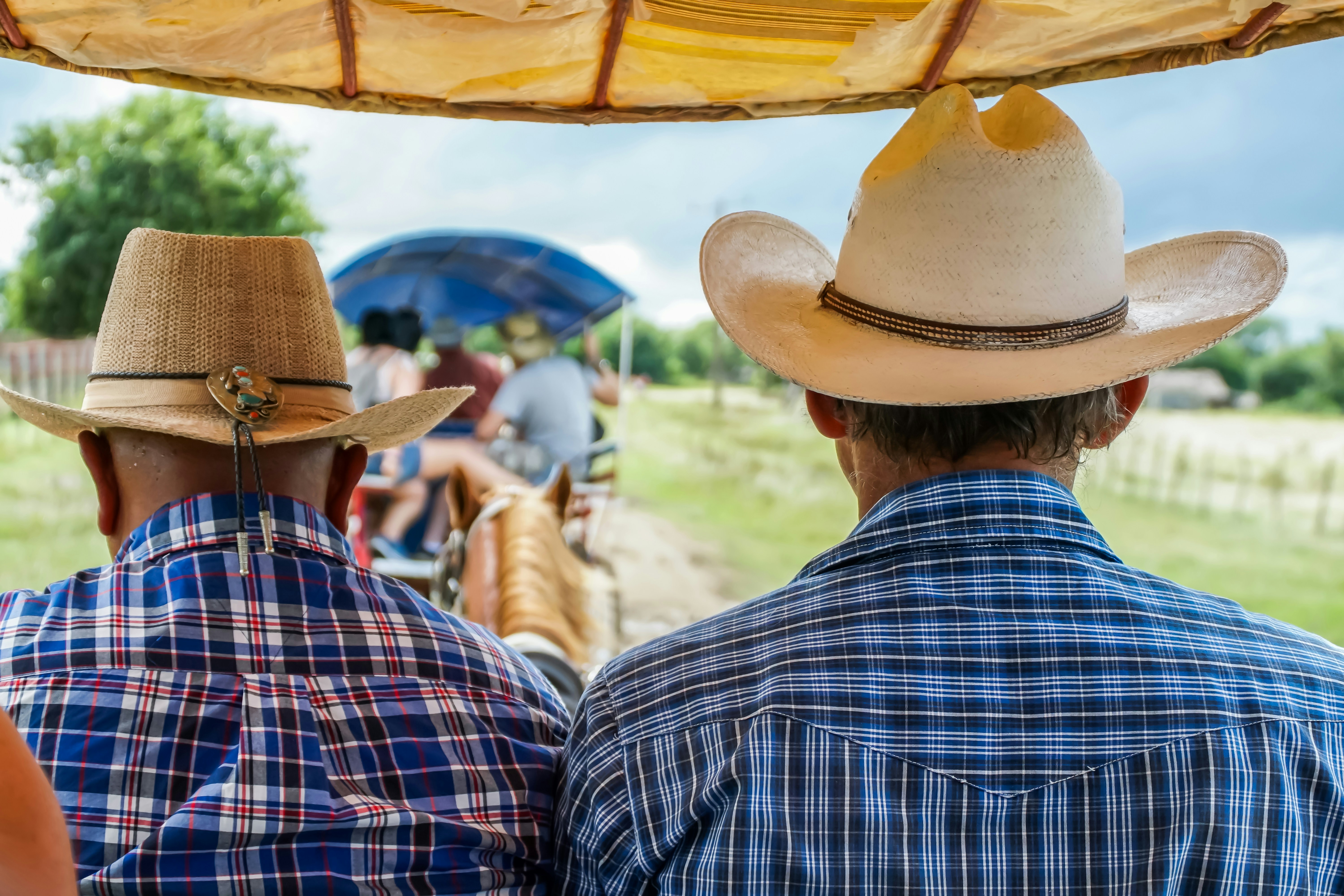 hombre con camisa de vestir a cuadros azul y blanco con sombrero marrón