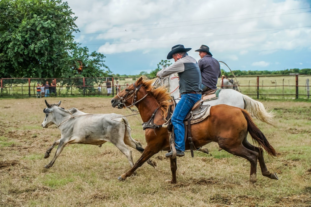 man in blue jacket riding brown horse during daytime