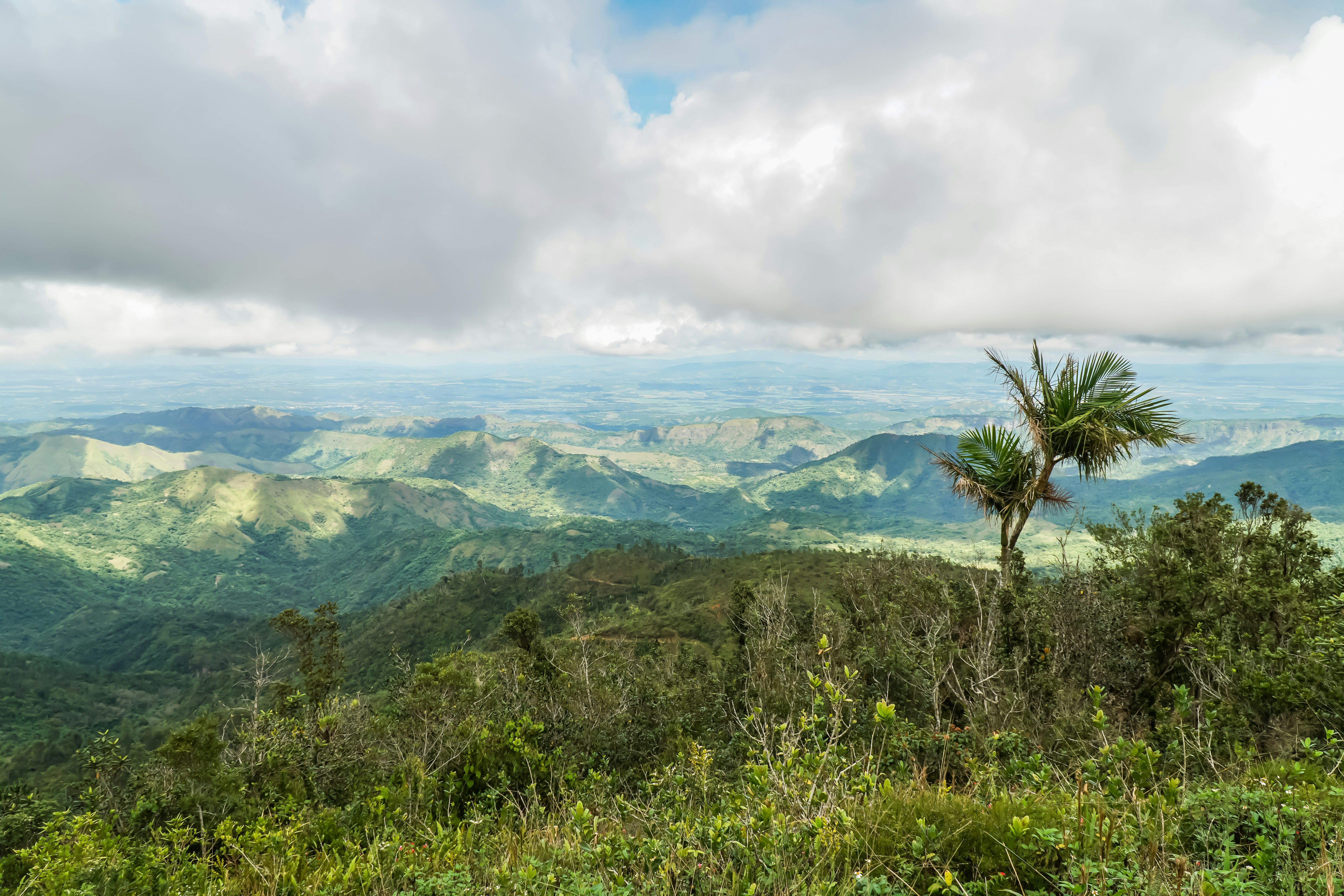 hierba verde en la montaña bajo nubes blancas durante el día
