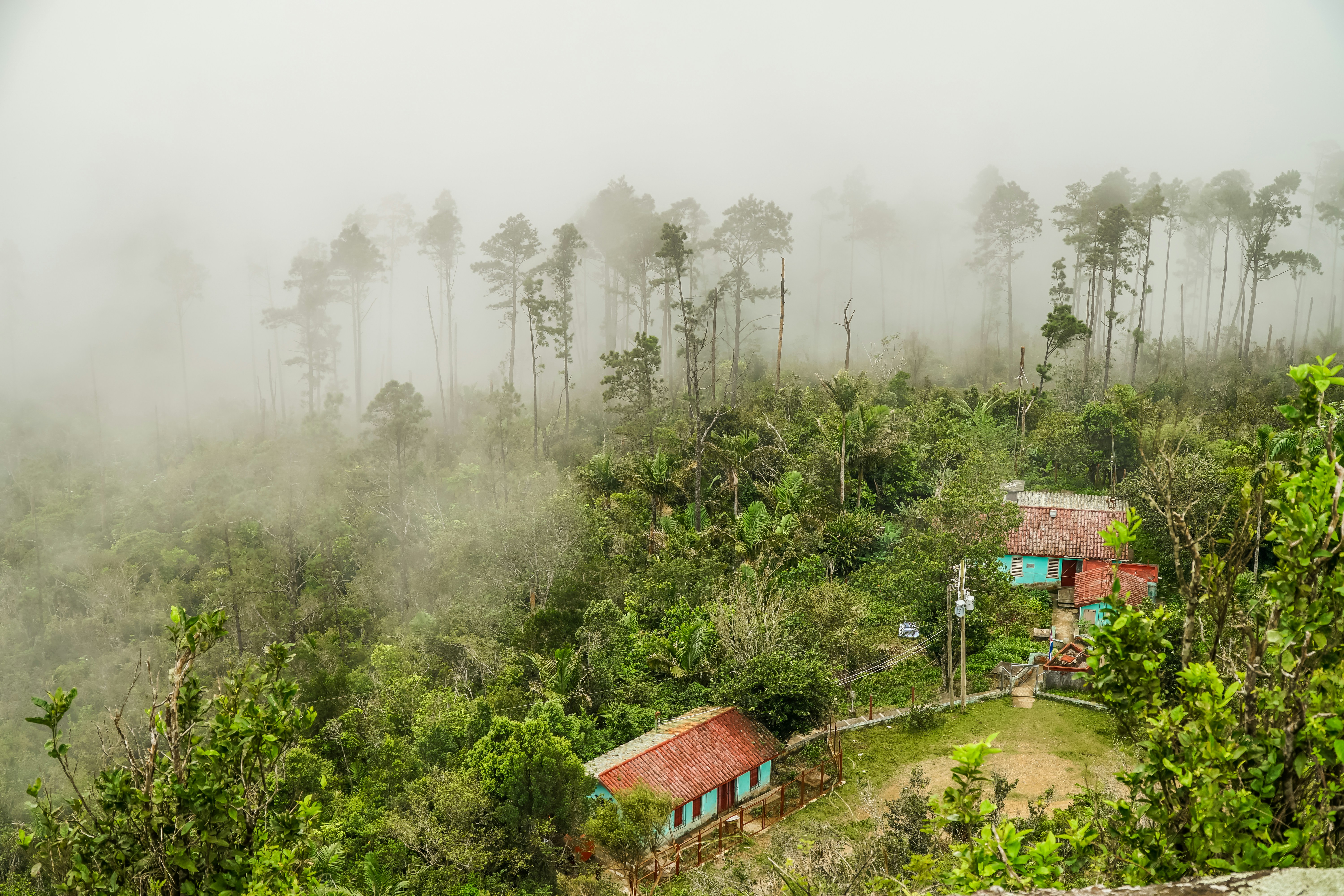 Casa de madera marrón rodeada de árboles verdes durante el tiempo de niebla