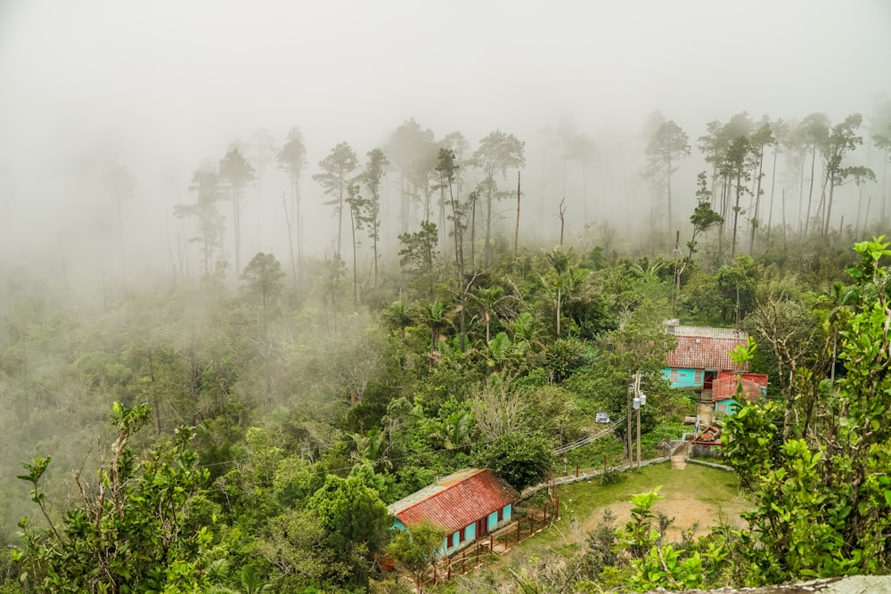 brown wooden house surrounded by green trees during foggy weather