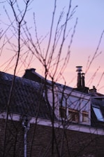 Silhouetted branches frame a rooftop scene at sunset, with pastel hues of pink and blue in the sky. The roof features dark shingles, a chimney, and skylights, with reflections visible in some windows.