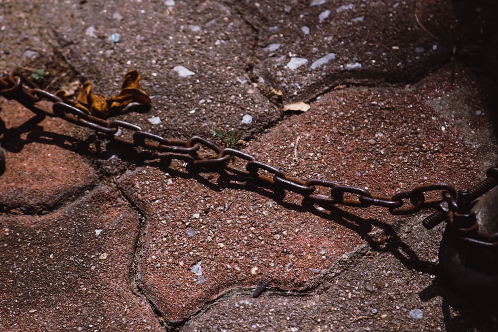 brown and black metal chain on brown and gray concrete floor