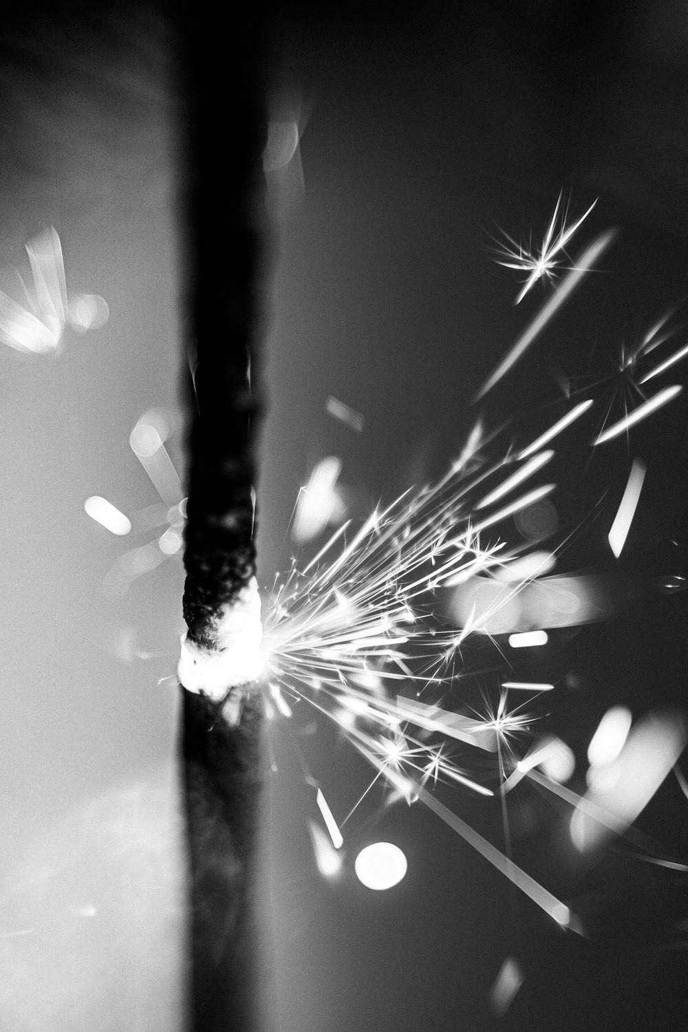 grayscale photo of dandelion flower