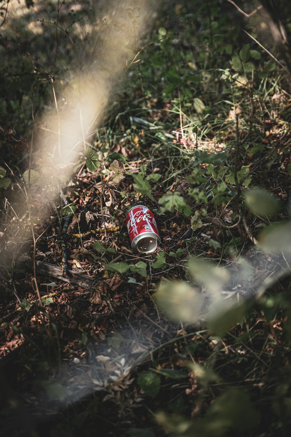 lata de coca-cola na grama verde