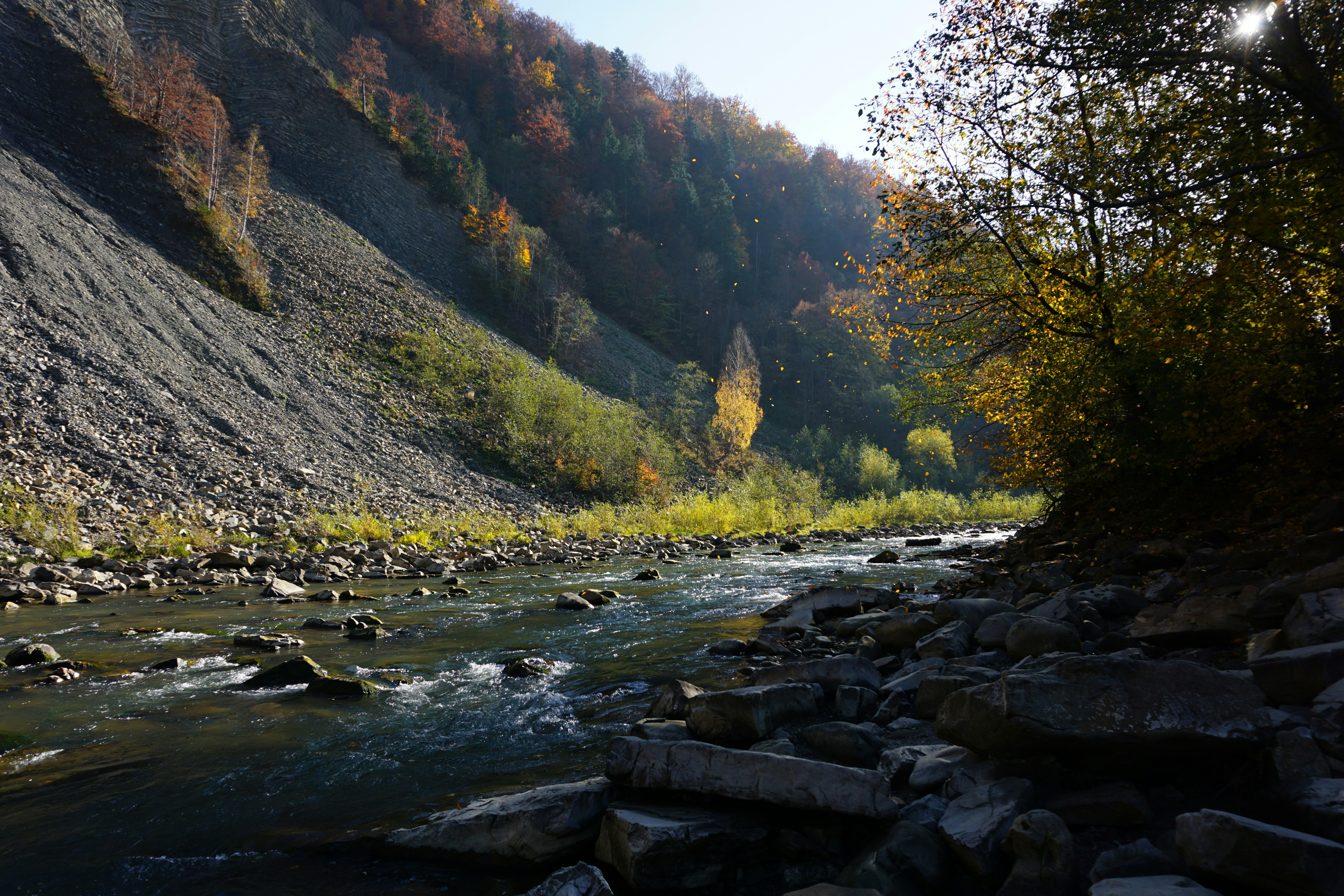 river in between green trees and mountain during daytime