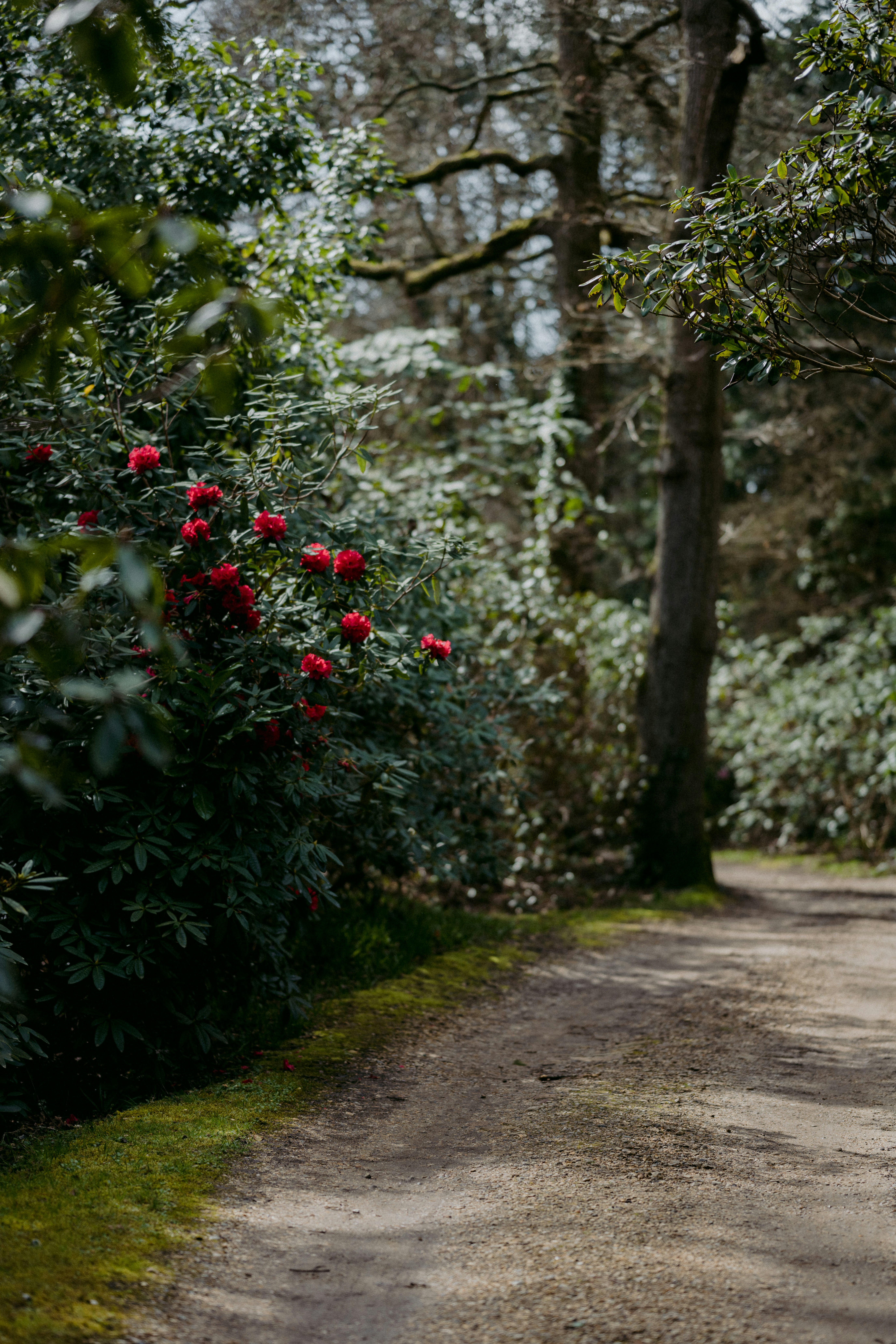 Photo by anniespratt