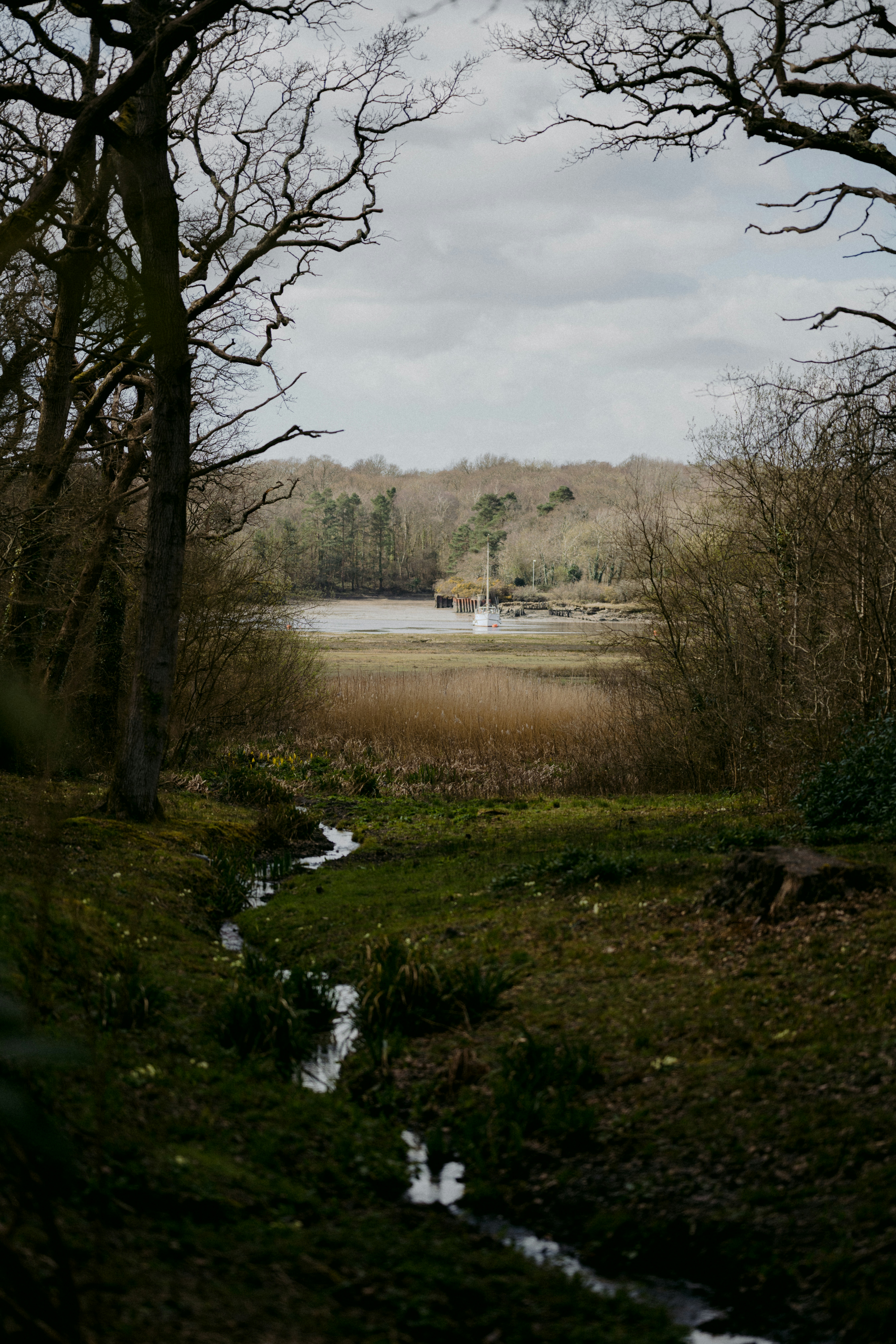 Photo by anniespratt