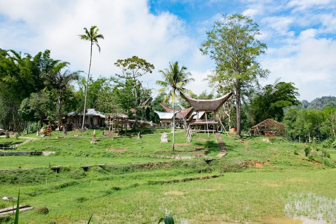 travelers stories about Nature reserve in Toraja Utara, Indonesia