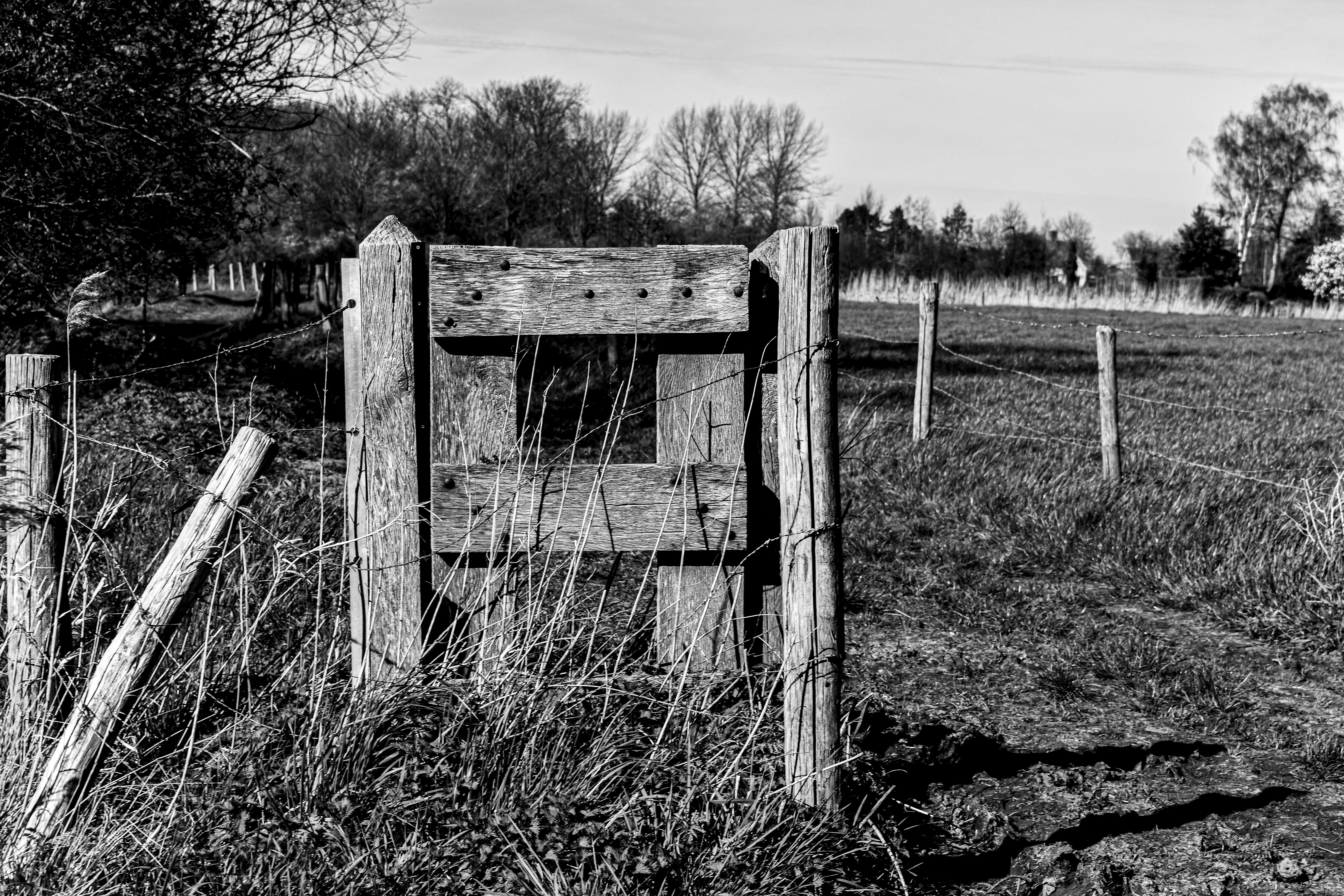 Photo by aurelietack