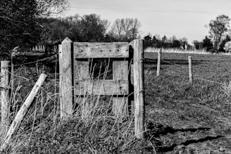 A rustic wooden fence stands prominently in a rural landscape, surrounded by overgrown grass and a dirt path. The background features leafless trees and an open field, evoking a sense of solitude and simplicity.
