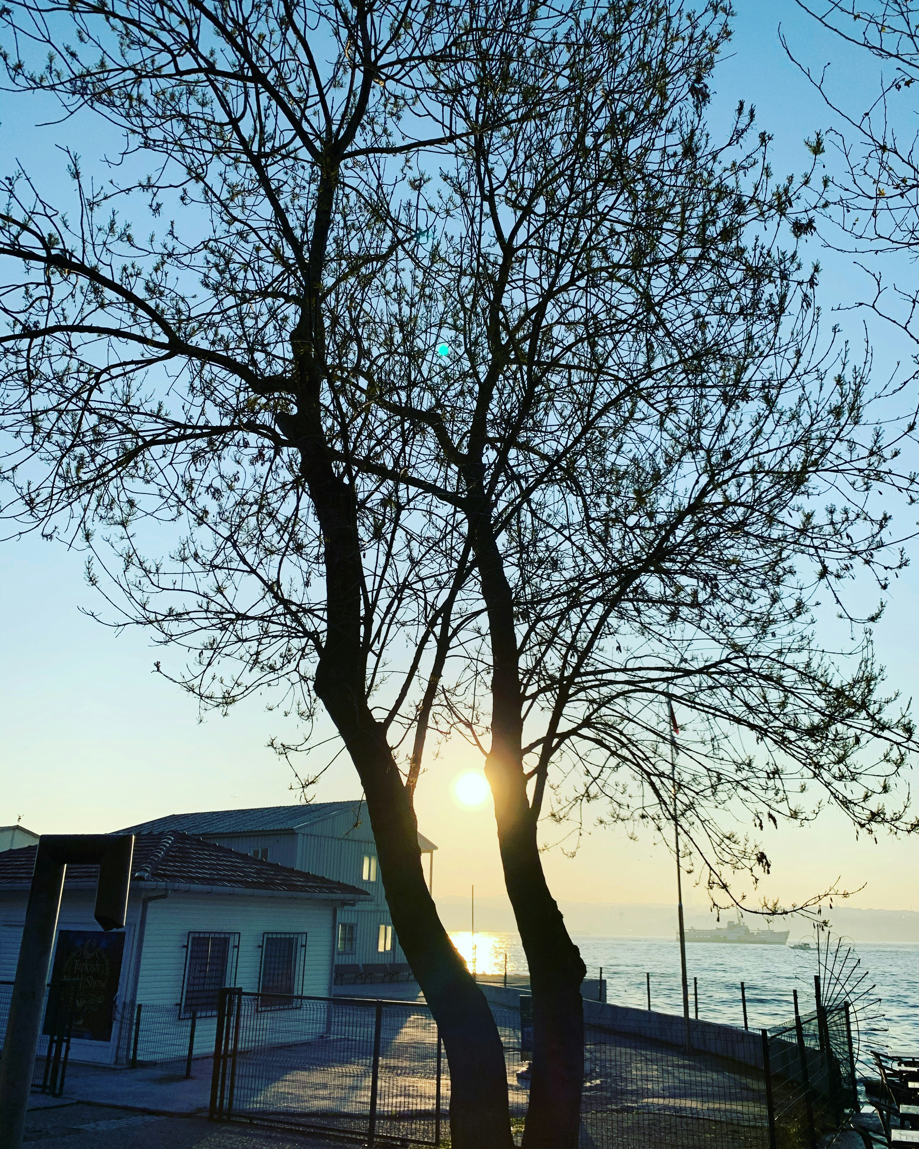 Photo by alimajeed