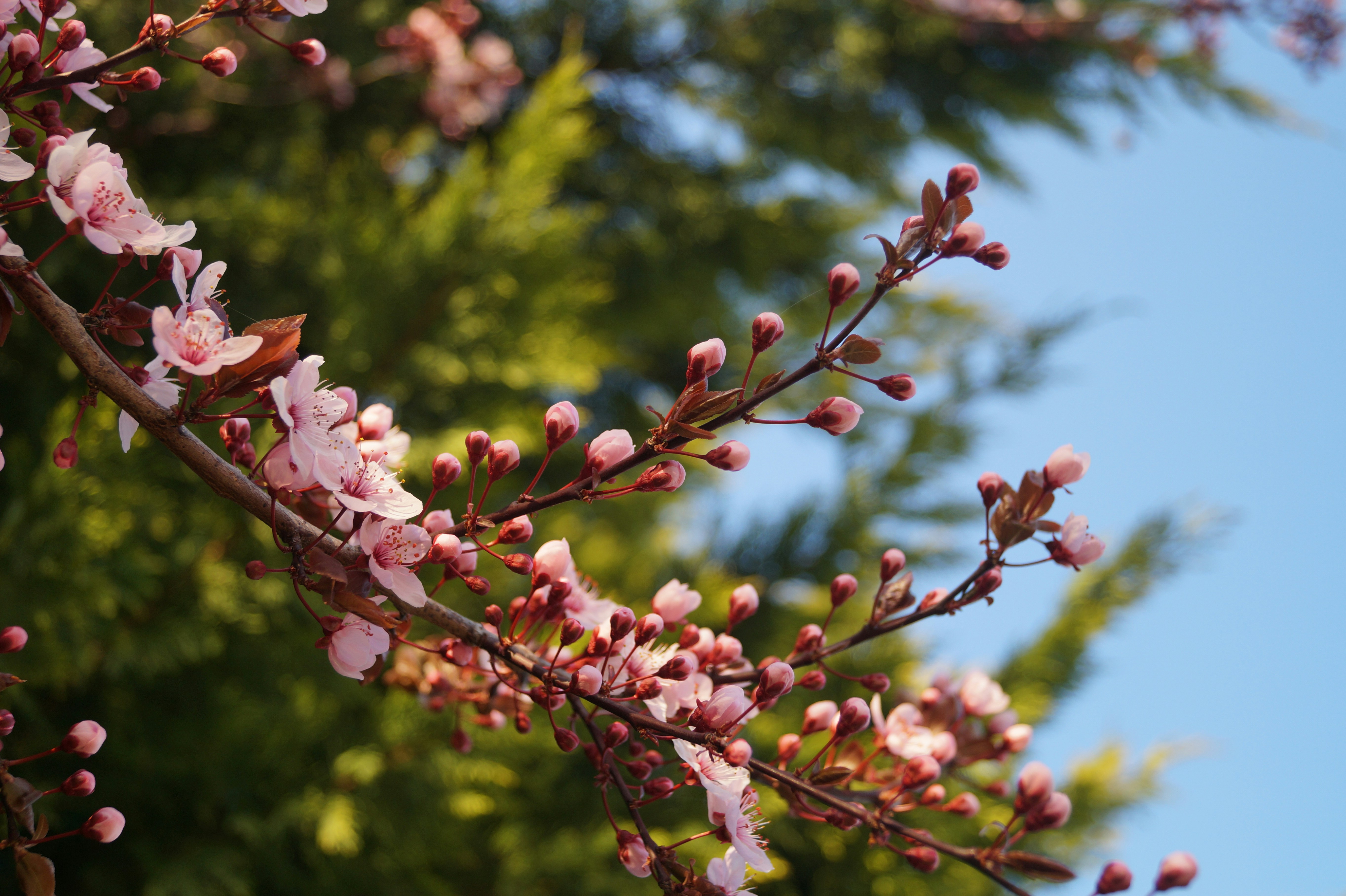 Photo by andras_adam