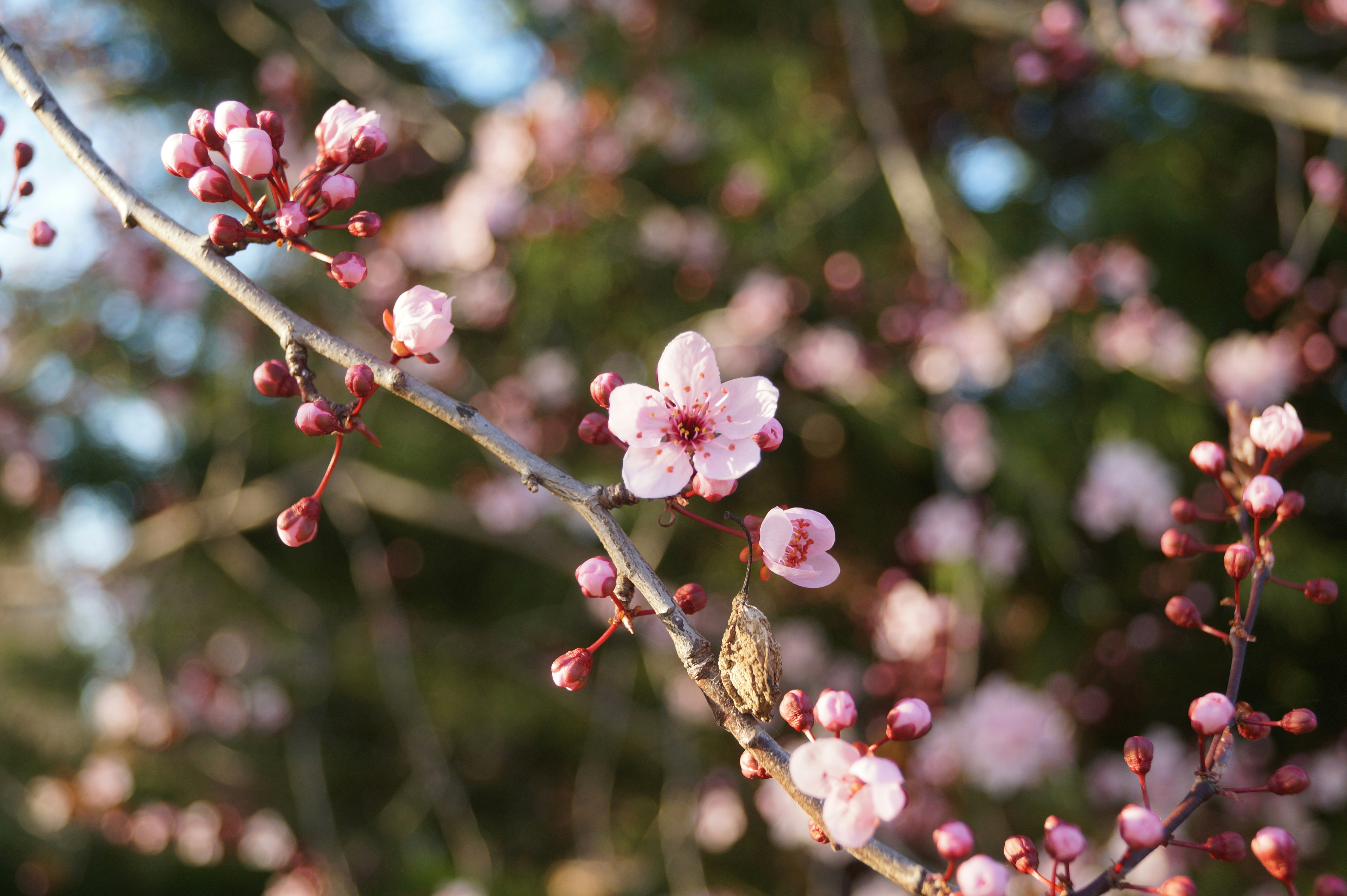 Photo by andras_adam