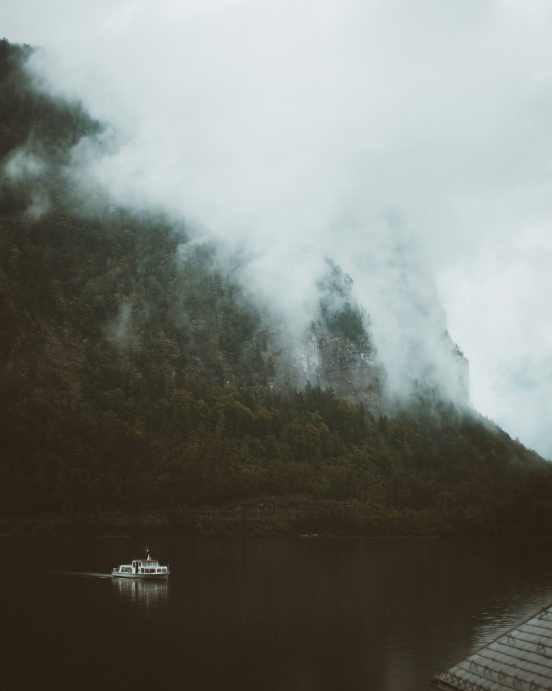 green trees near body of water