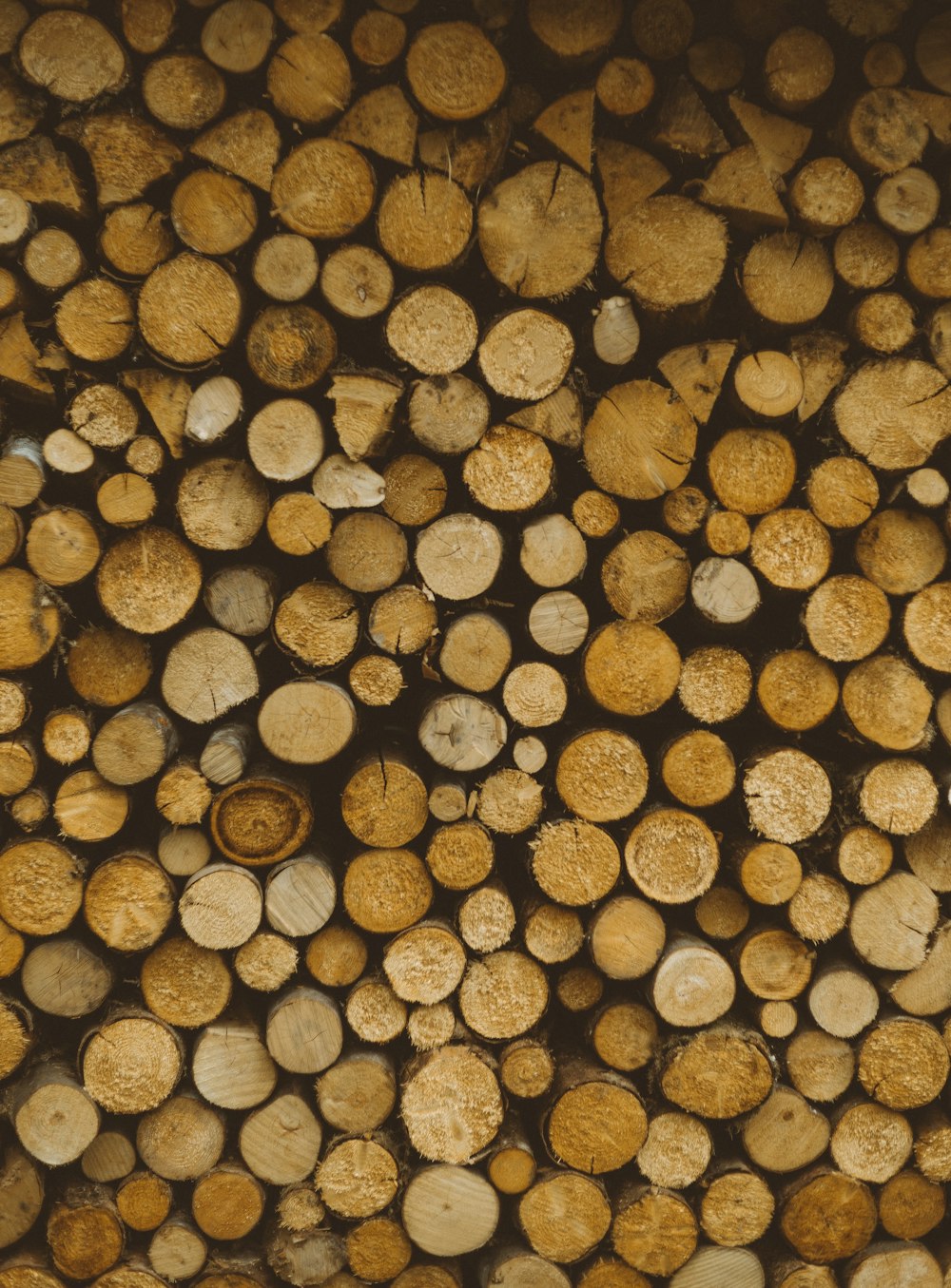 pile of brown wooden logs