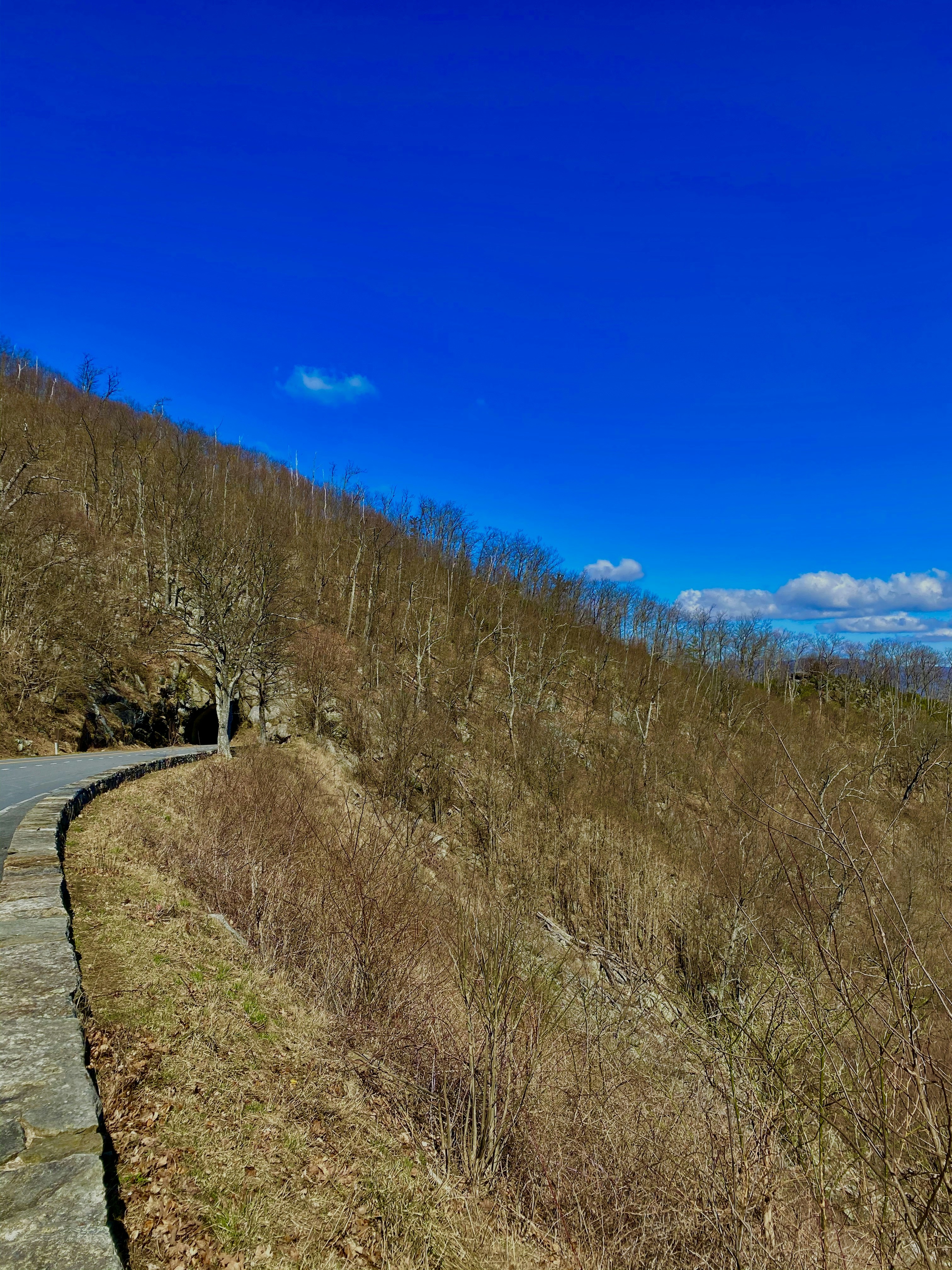 Shenandoah National Park