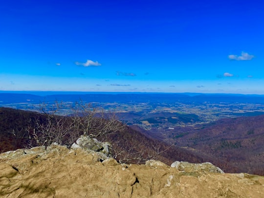 Shenandoah National Park things to do in Luray