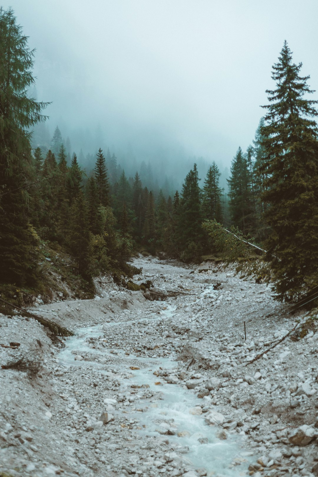 Spruce-fir forest photo spot Dolomites Zillertal Alps