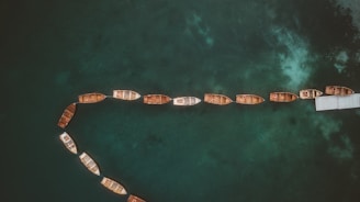 A series of small wooden boats are lined up on a dark, calm body of water, creating a gentle curve. The boats exhibit various shades of brown and are neatly tethered to a dock on the right side. The water displays a deep, murky green color with lighter patches, suggesting underlying textures or reflections.
