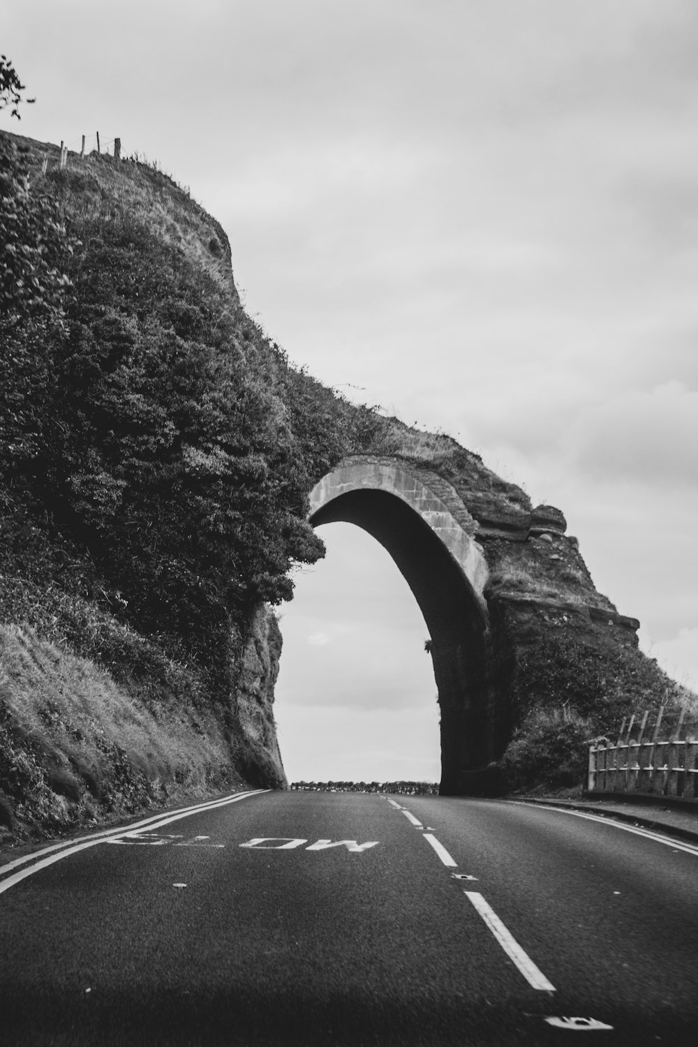 grayscale photo of tunnel near road