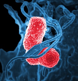 A visual of musical notes intertwined with pathogen imagery.