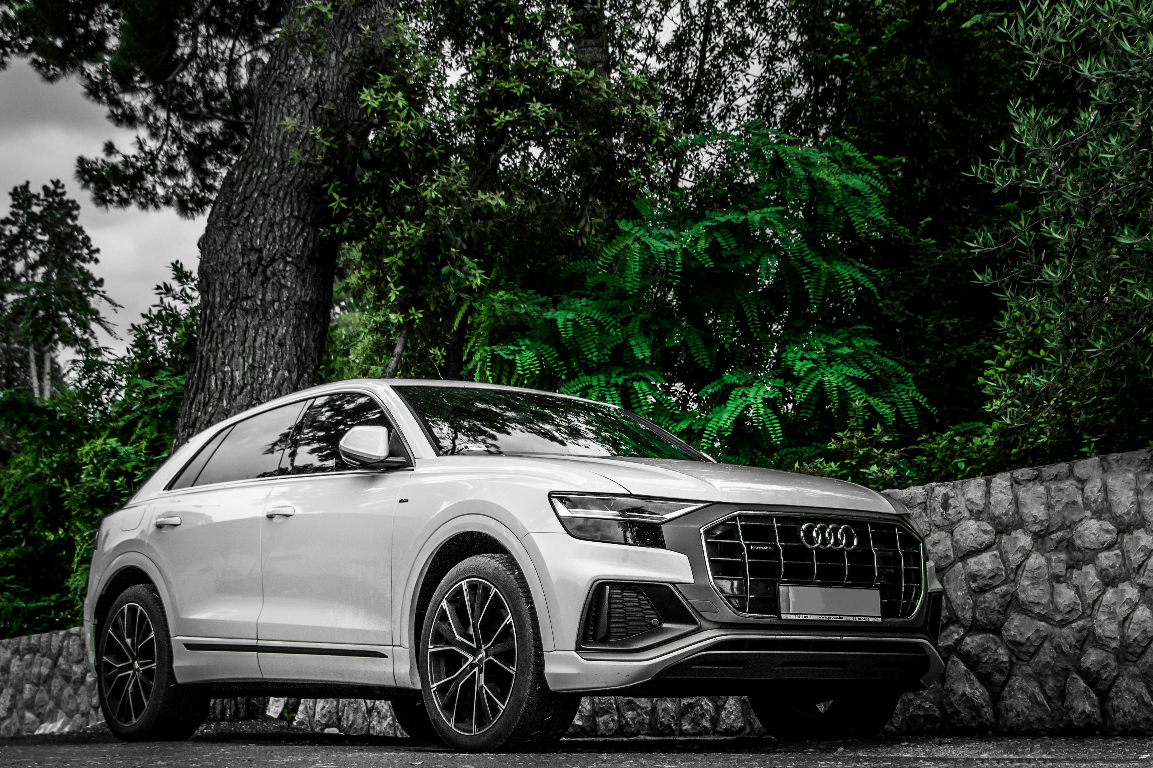 grayscale photo of mercedes benz coupe parked beside tree