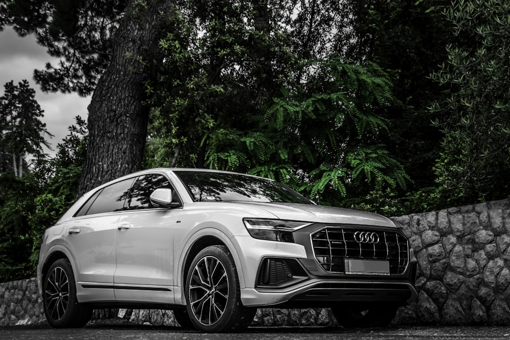 grayscale photo of mercedes benz coupe parked beside tree