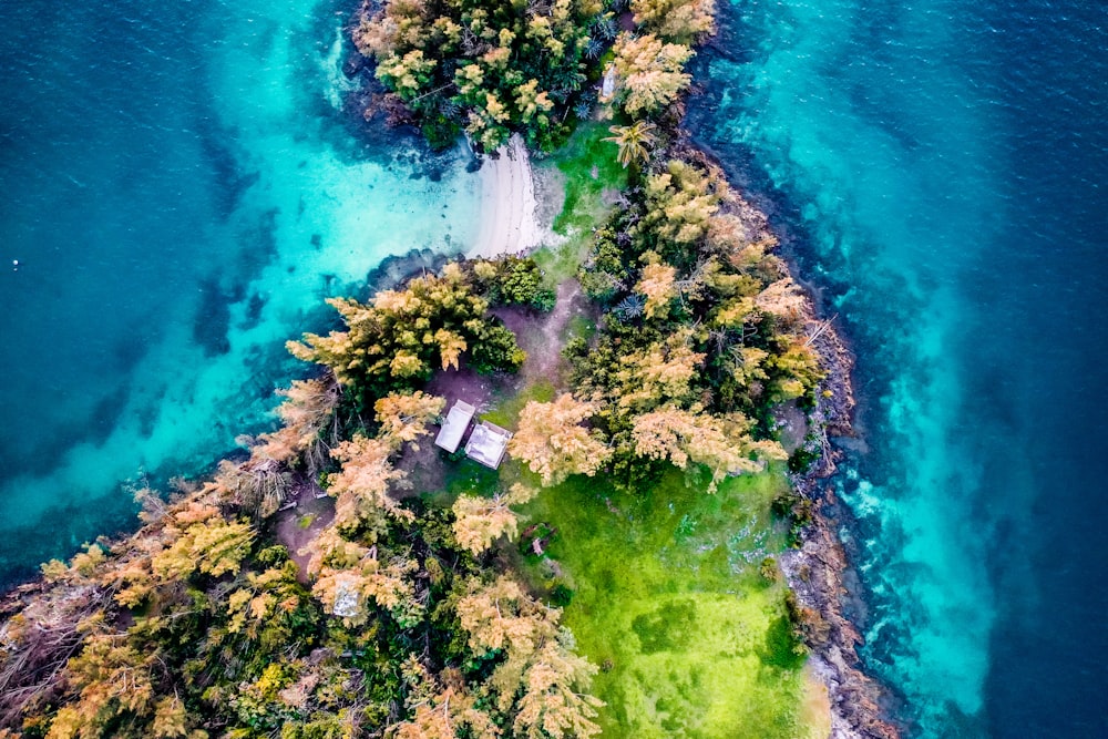 aerial view of river between green trees during daytime