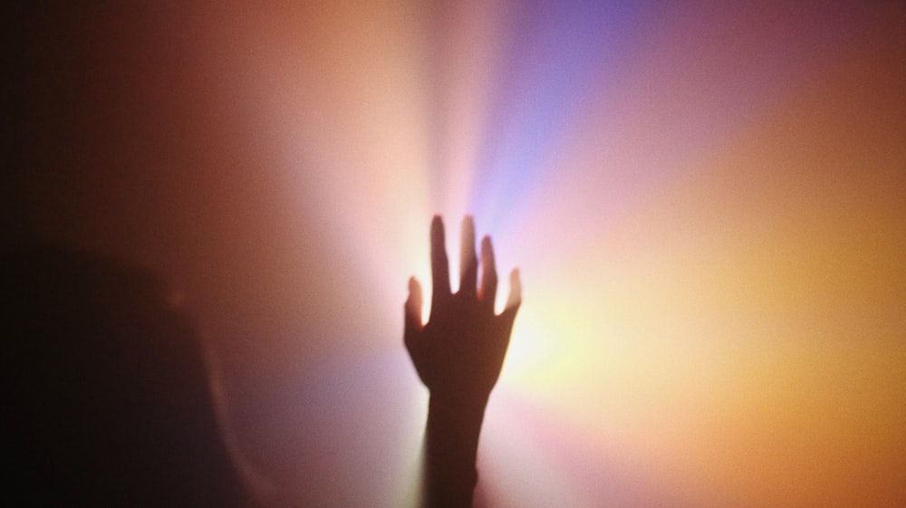 persons left hand on purple and pink light
