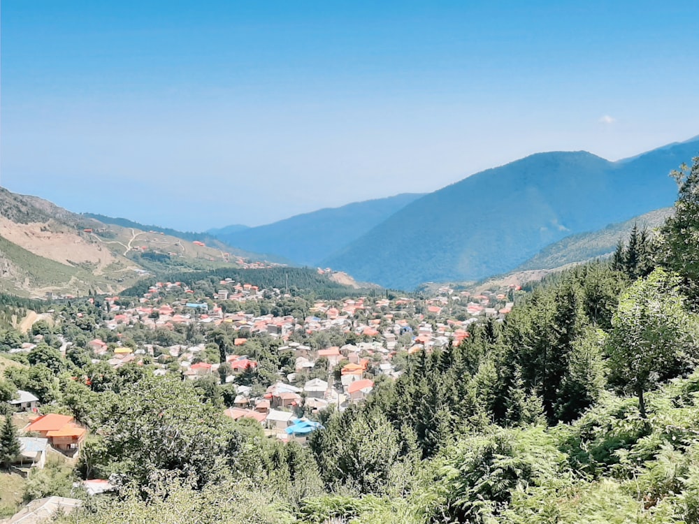 green trees and mountain under blue sky during daytime