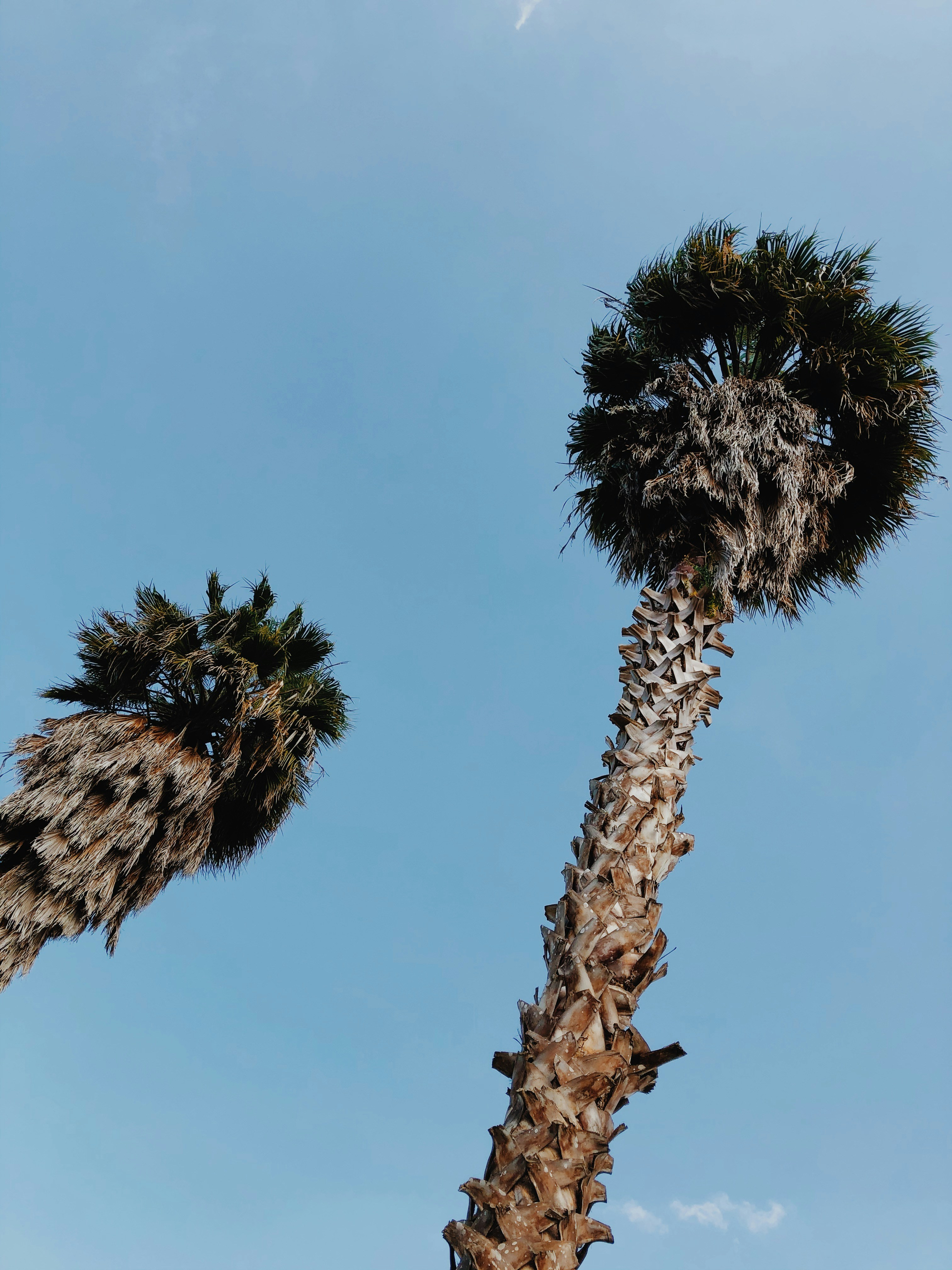 Photo by julianamarx