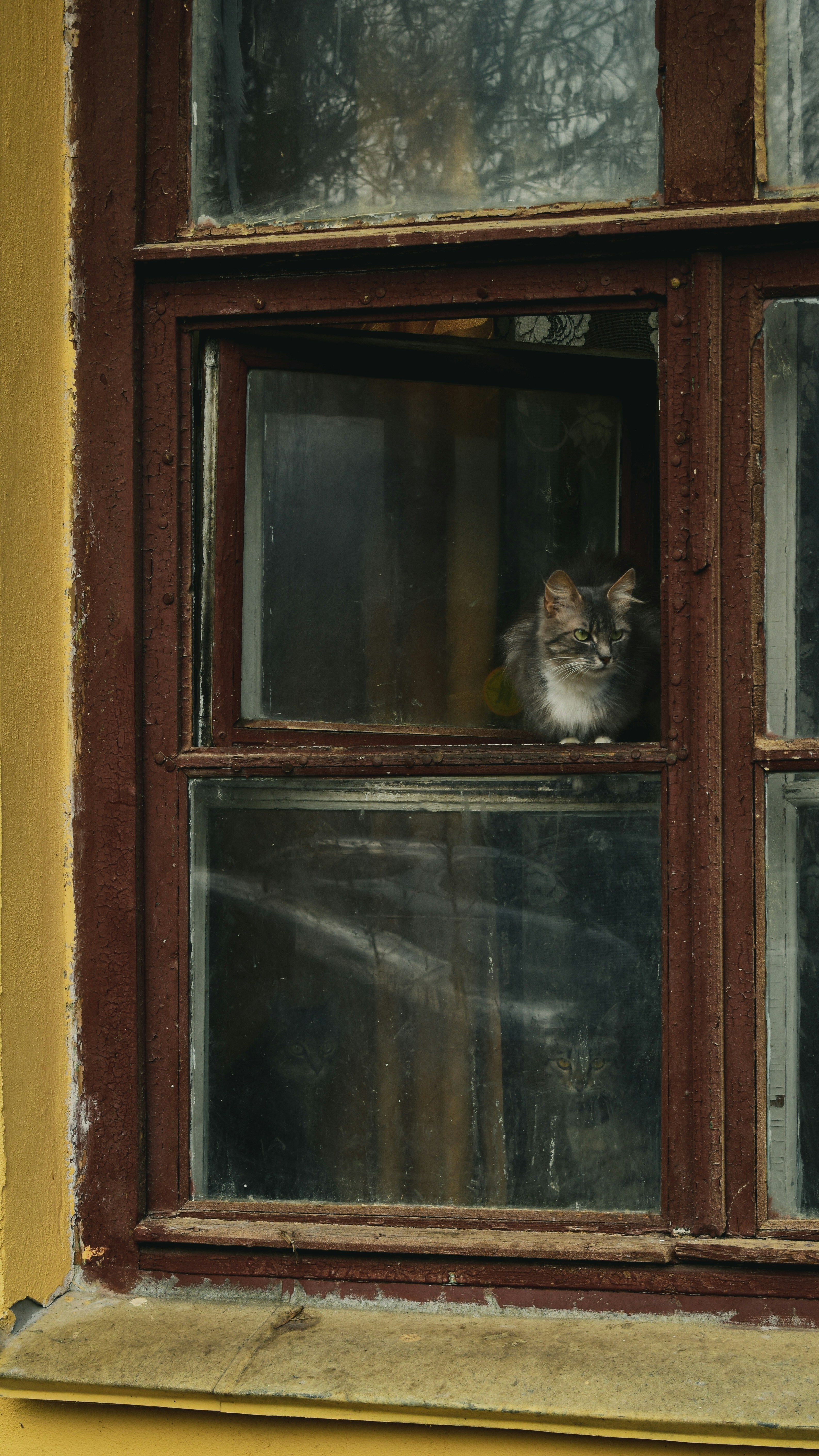 Photo by artem_makarov