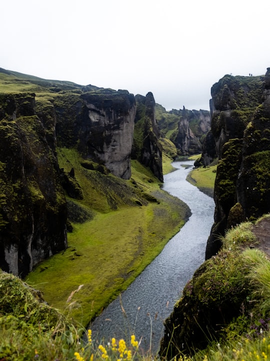 river between green grass covered mountains during daytime in Fjaðrárgljúfur Iceland