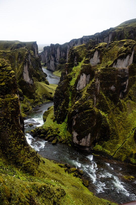 green and brown rock formation beside river during daytime in Fjaðrárgljúfur Iceland